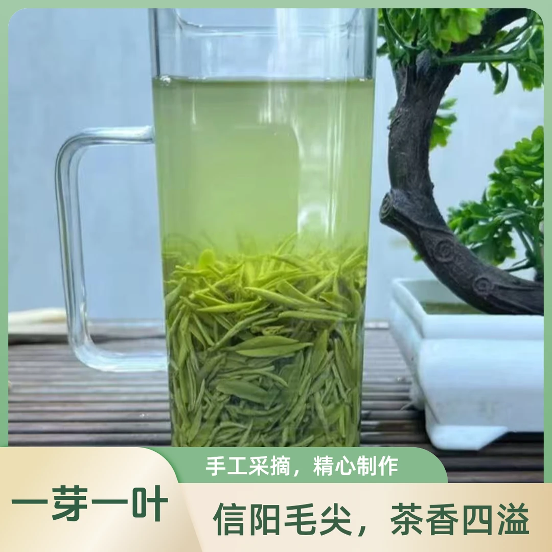 毛尖明前嫩芽手工抛条兰花香鲜爽回甘优选好茶