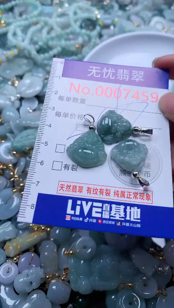 翡翠未镶嵌吊坠(不含链)7459多样性发其一
