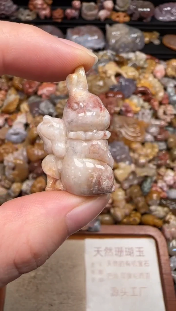 硅化珊瑚（珊瑚玉）未镶嵌颈饰656