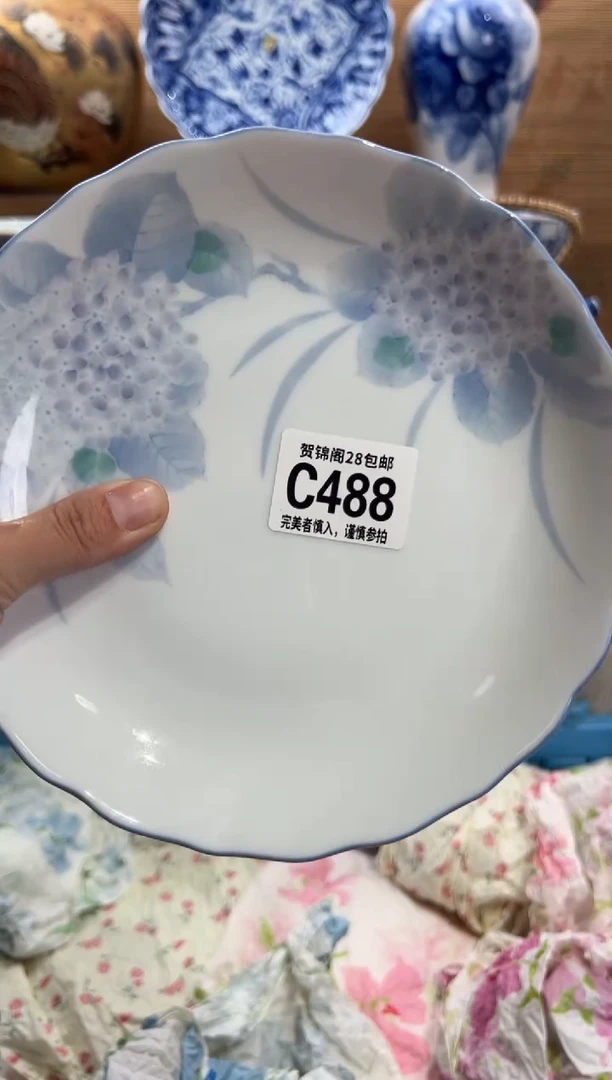 瓷片D?     C488