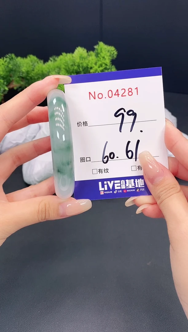 未镶嵌手镯翡翠4281