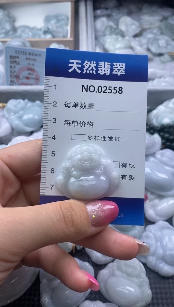 翡翠未镶嵌颈饰缅甸A货翡翠02558