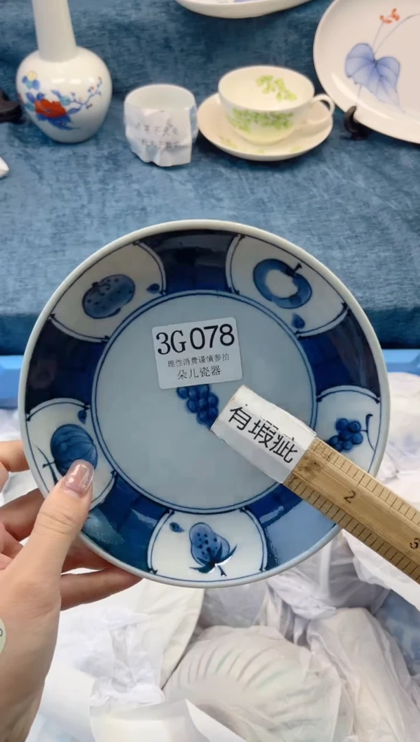 瓷片         3G078