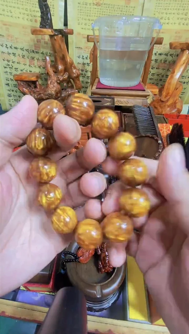 木海柳2.0直播推荐荐直播推