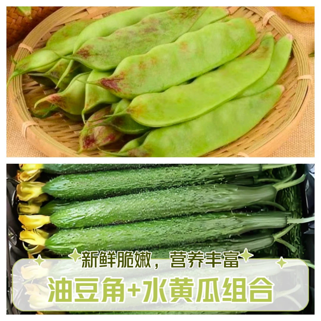 蔬菜组合【油豆角3斤+水黄瓜2斤】共5斤（包邮）