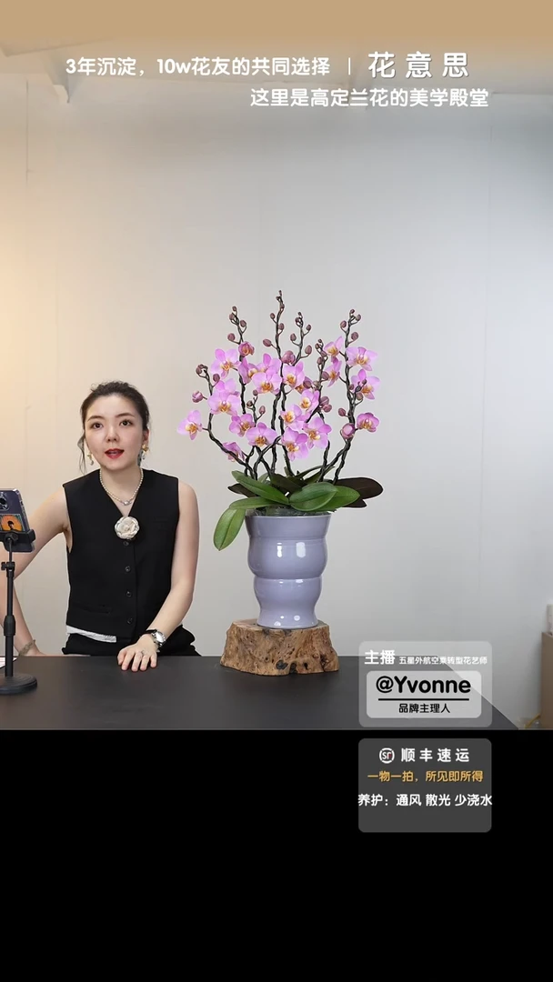 全部花朵033号链接【一物一拍】
