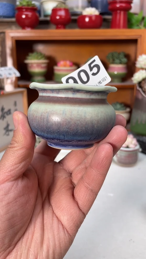 瓷片905小芳直播编号