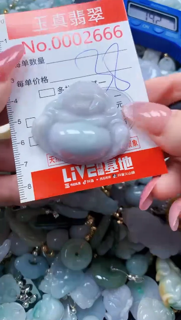 翡翠未镶嵌吊坠(不含链)2666