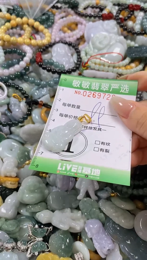 翡翠未镶嵌颈饰闪购0269728多样性发其一