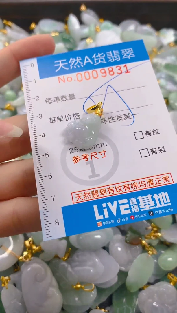 颈饰未镶嵌翡翠净货挂件-9831