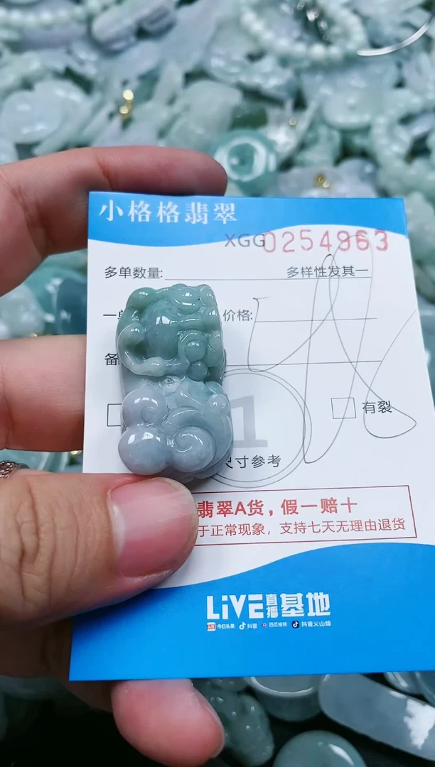 翡翠未镶嵌颈饰闪购商品0254963