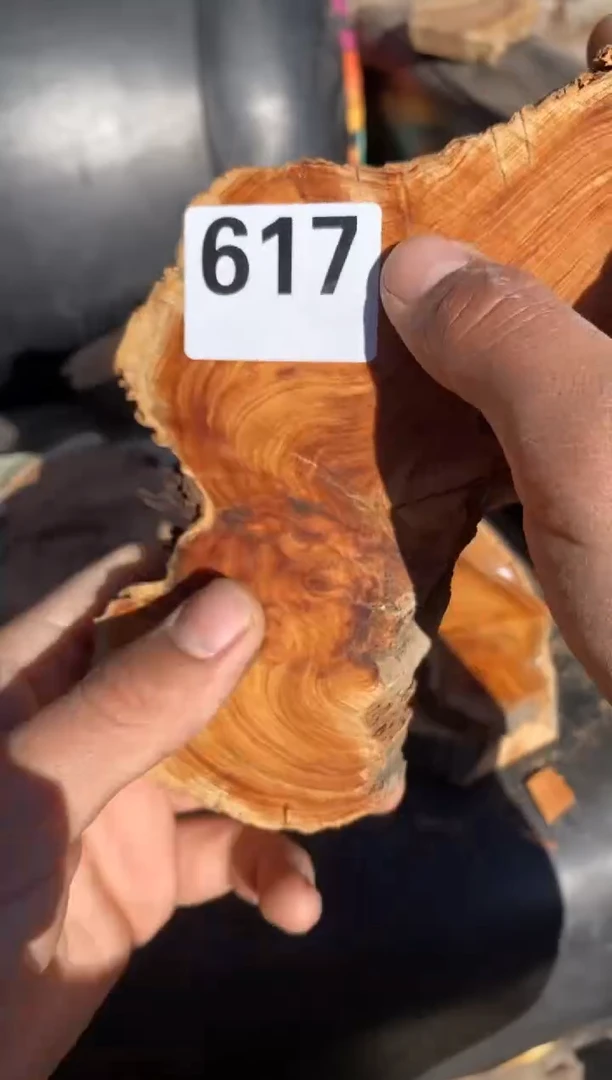 柏木（崖柏）太行陈华崖柏切片！随机（1单1片）617