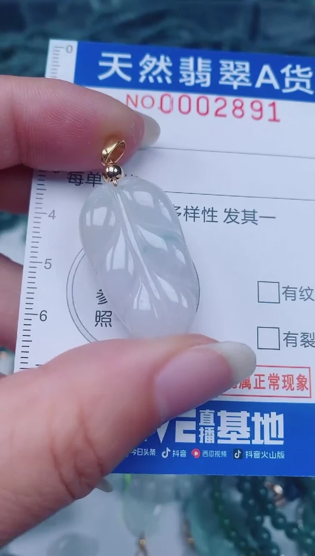 颈饰未镶嵌翡翠00002891