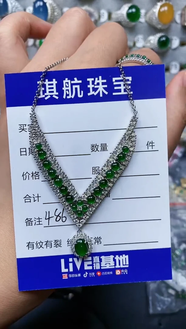 【闪购商品】翡翠颈饰银S925镶嵌0486