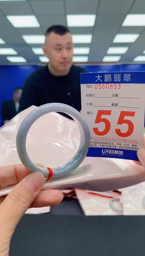 未镶嵌手镯翡翠AAAAAAAAA