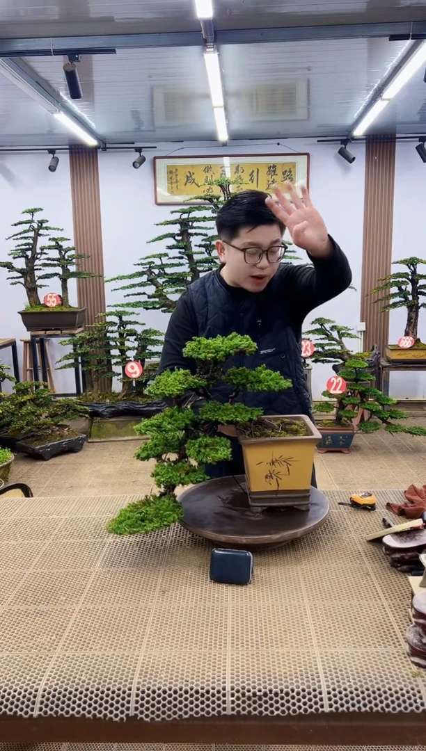【闪购商品】一物一拍，所见即所得