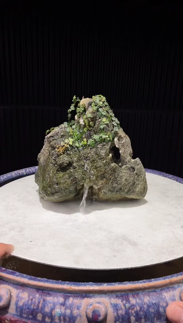 造型吴定石一物一拍专属