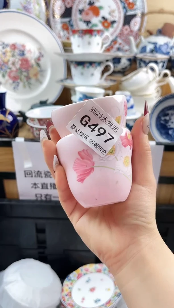 ==============g497