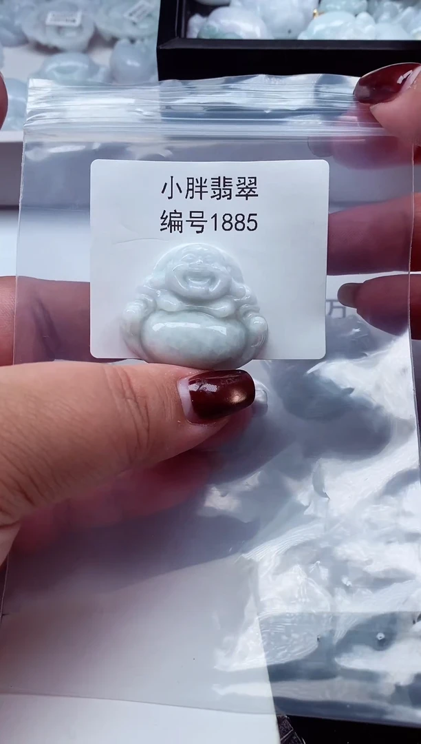 颈饰未镶嵌翡翠缅甸天然A货翡翠1885