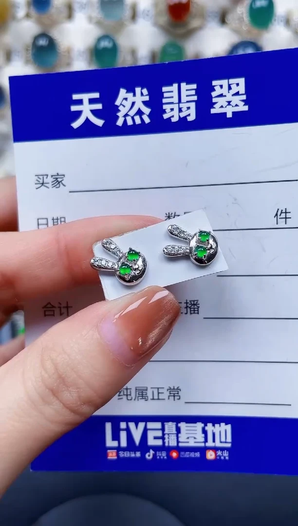 银S925镶嵌翡翠耳饰300