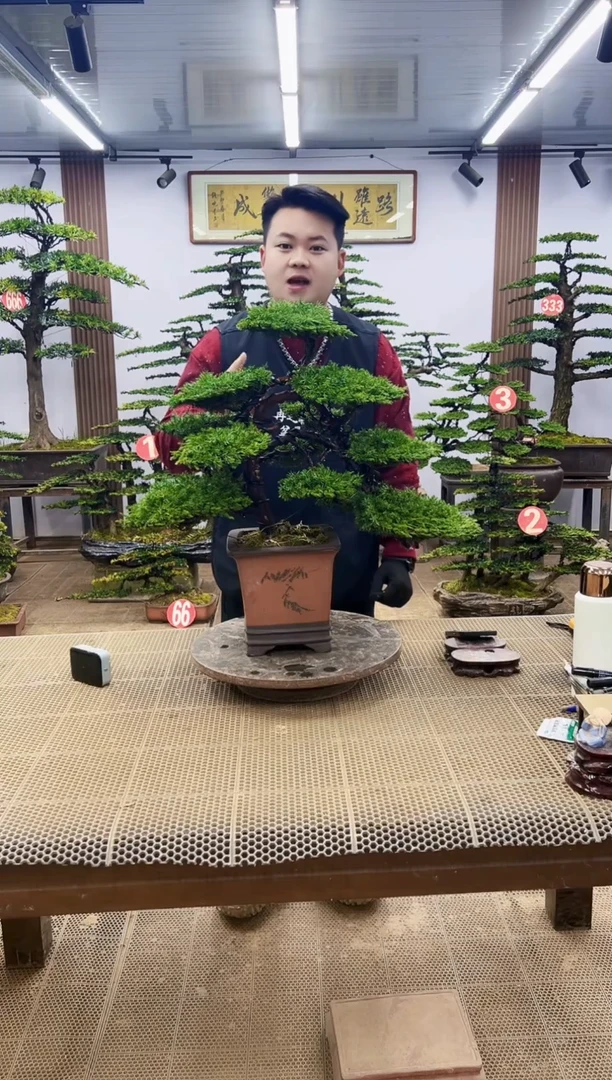 【闪购商品】000000000000