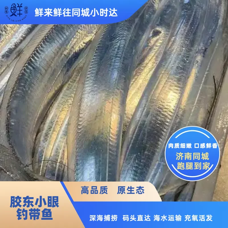 【鲜带鱼】 胶东小眼带鱼 1斤  钓带 镜面不锈钢面鲜带鱼  （默认不宰杀，宰杀请备注）