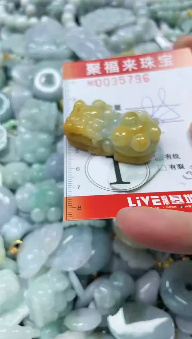 【闪购商品】翡翠颈饰未镶嵌闪购0035796