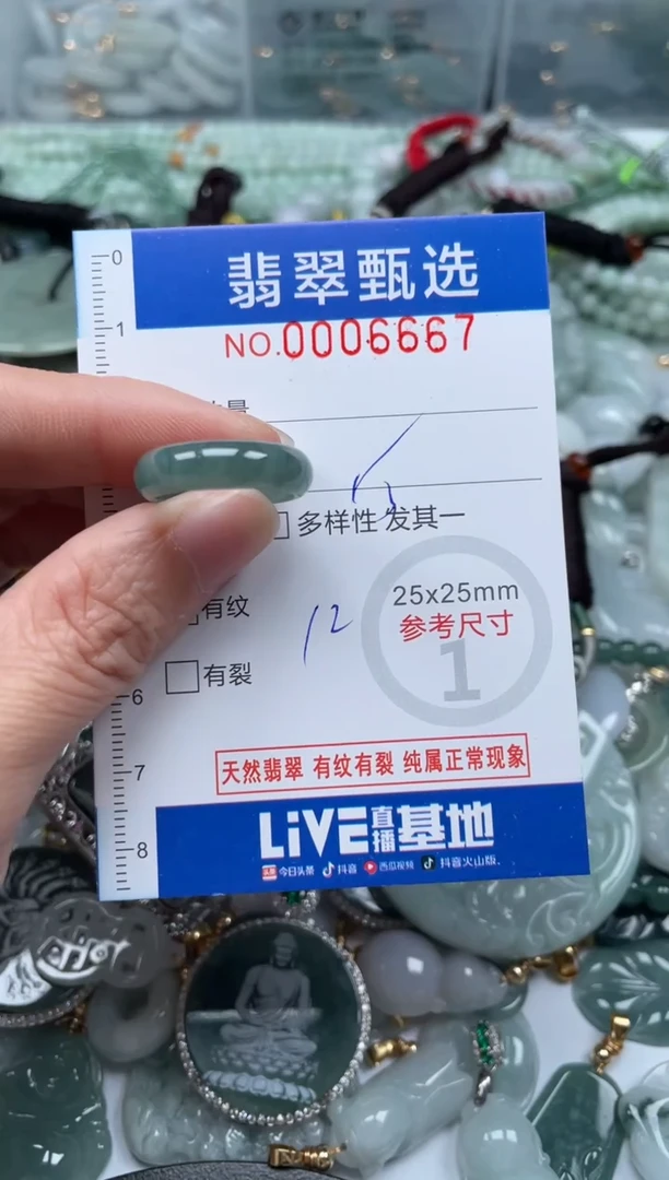 【闪购商品】翡翠颈饰未镶嵌00.06667