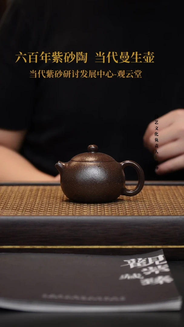 茶壶紫砂宜兴紫砂壶闷罐烧西施