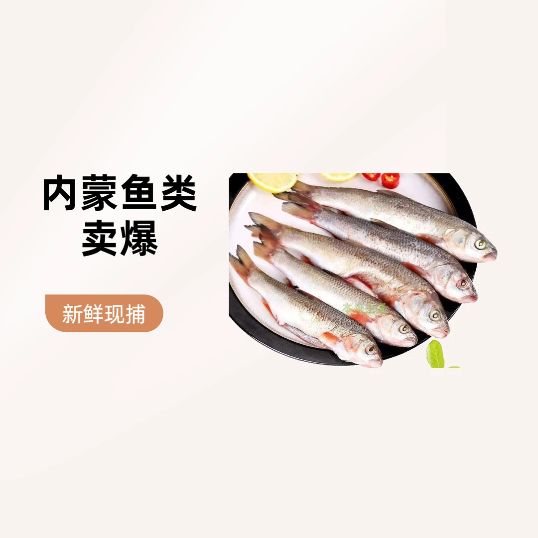 内蒙古克什克腾华子鱼5斤没去内脏鳞  新鲜冷冻野生。
