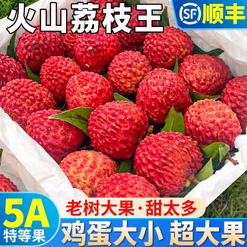 【空运礼盒】高端海南正宗永兴火山荔枝王新鲜采摘孕妇当季热带水果