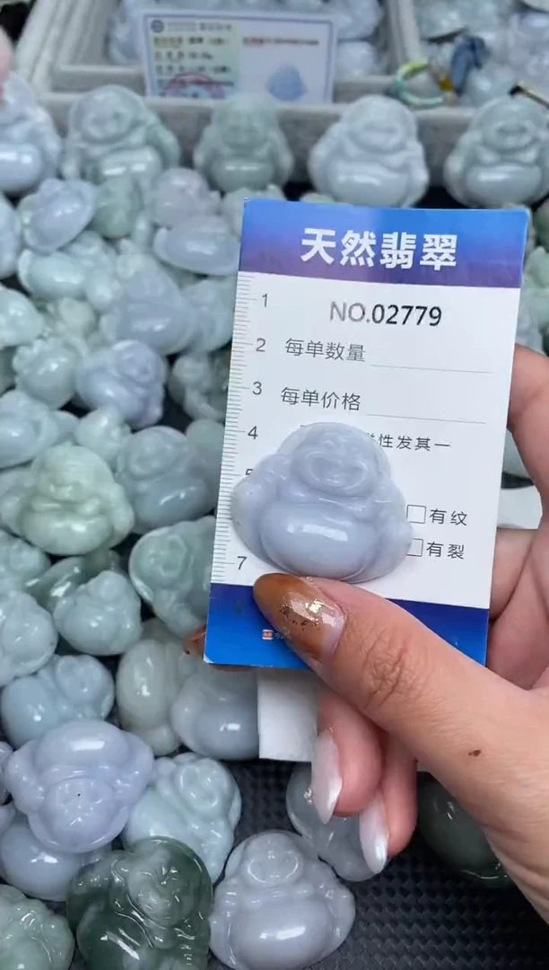 颈饰未镶嵌翡翠纯天然A货翡翠2779