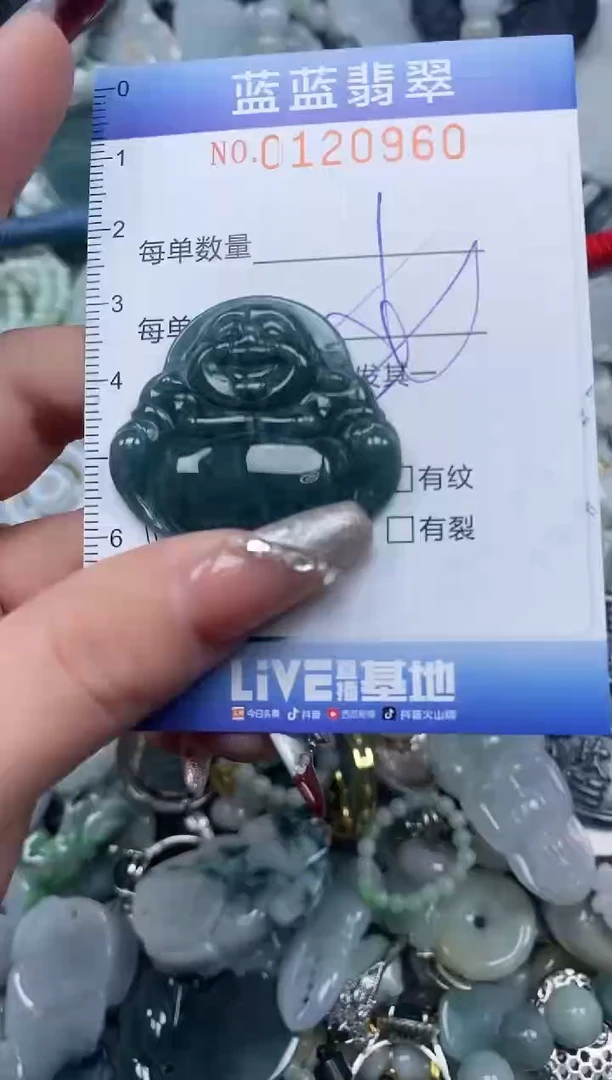 【闪购商品】翡翠颈饰未镶嵌闪购0120960多样性发其一