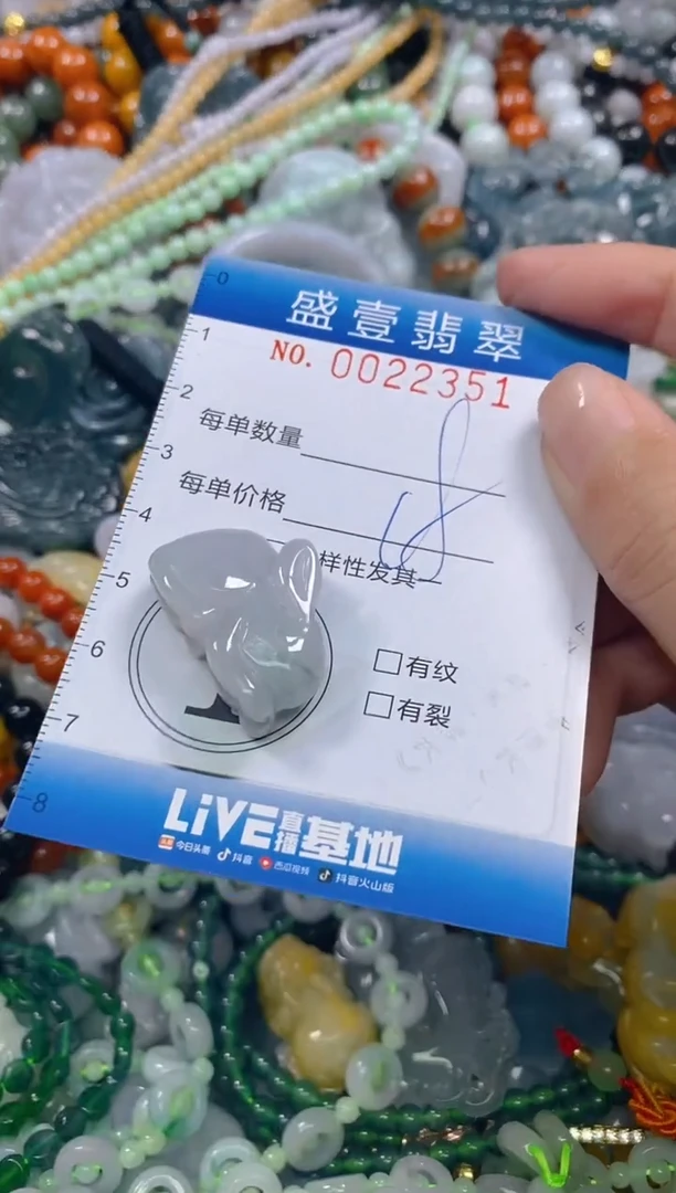 颈饰未镶嵌翡翠闪购0022351
