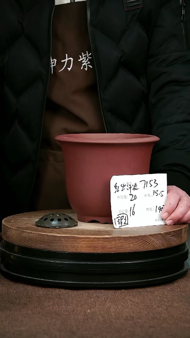 紫砂花盆花卉园艺微瑕7153