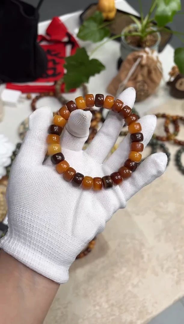 菩提根/象牙果手串8*11药片福利（307）