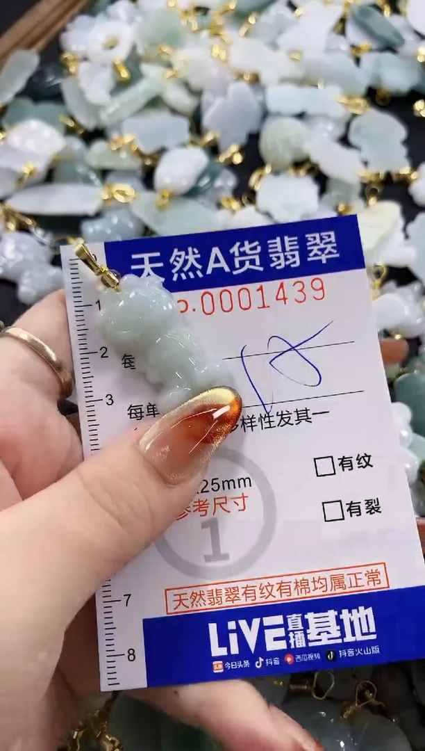 颈饰未镶嵌翡翠天然A货翡翠