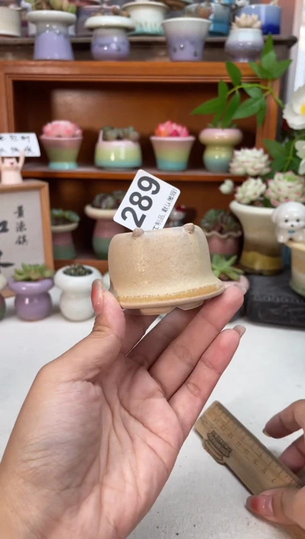 瓷片289知木小芳花盆