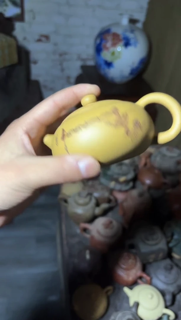 【闪购商品】风车木（黑檀木）闪购商品闪购商品