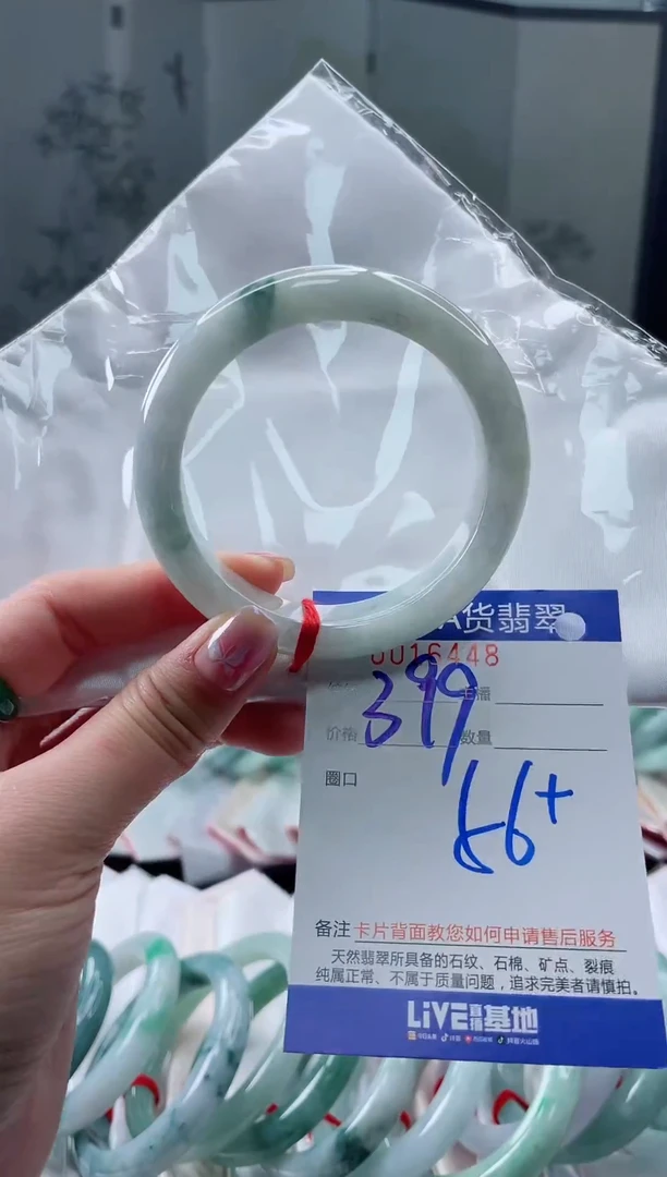 未镶嵌手镯翡翠1111111