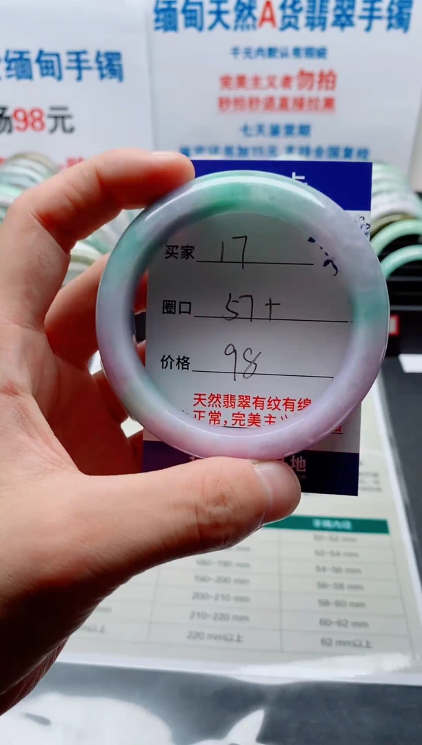 未镶嵌手镯翡翠翡镯翠手