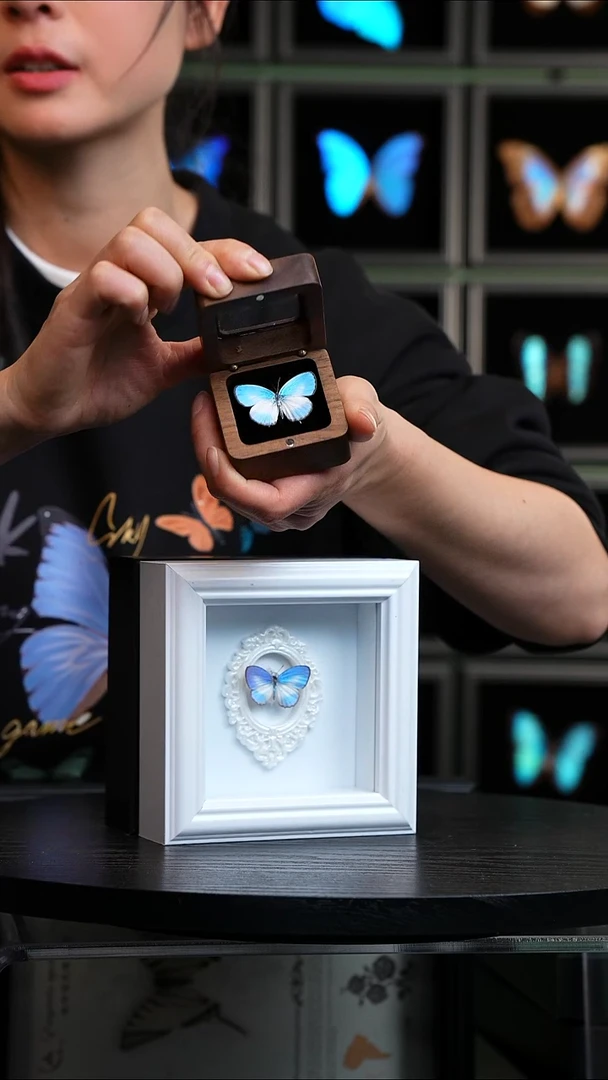 优雅灰蝶4寸方框