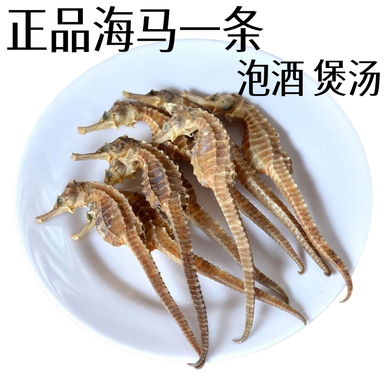 标准三斑海马 精选三斑海马一个2克左右泡酒煲汤海马自然风干