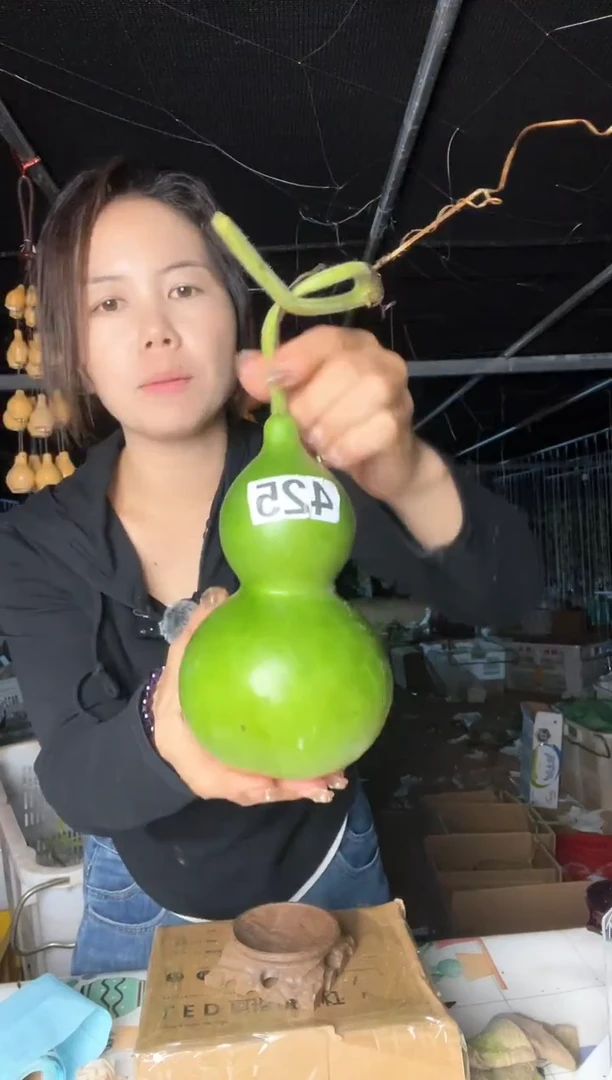 425天然葫芦摆件 一物一拍龙头不保售后