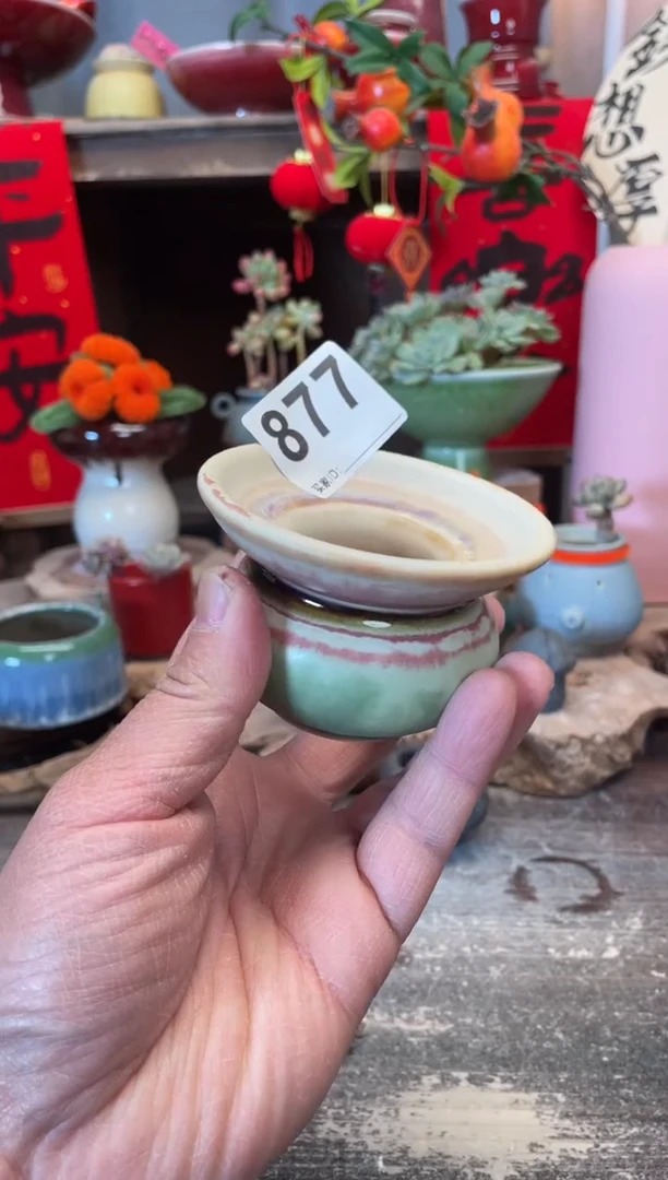 【闪购商品】摆件877知木小芳花盆