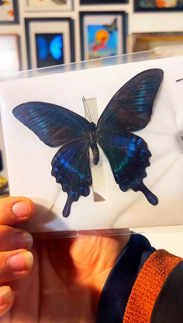 有机玻璃28383837