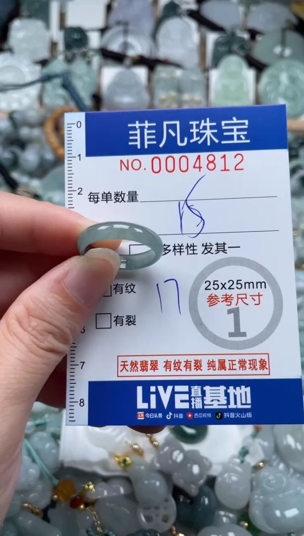 翡翠未镶嵌颈饰00..4812
