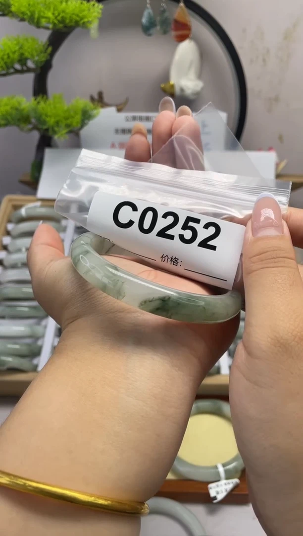 石英质玉（天山翠）手镯未镶嵌c0252