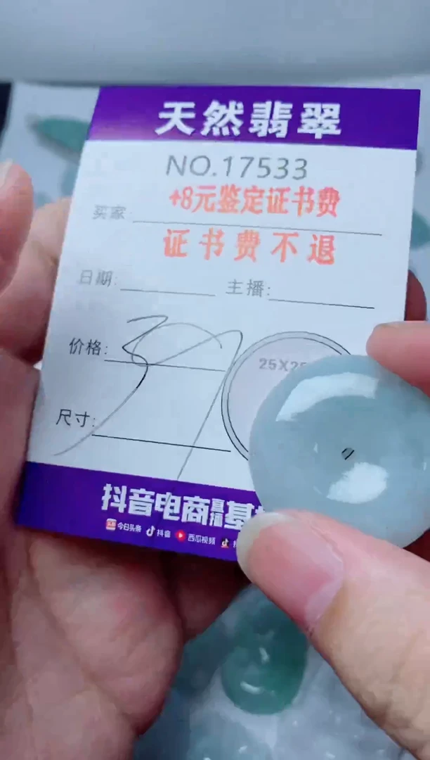 翡翠未镶嵌颈饰533