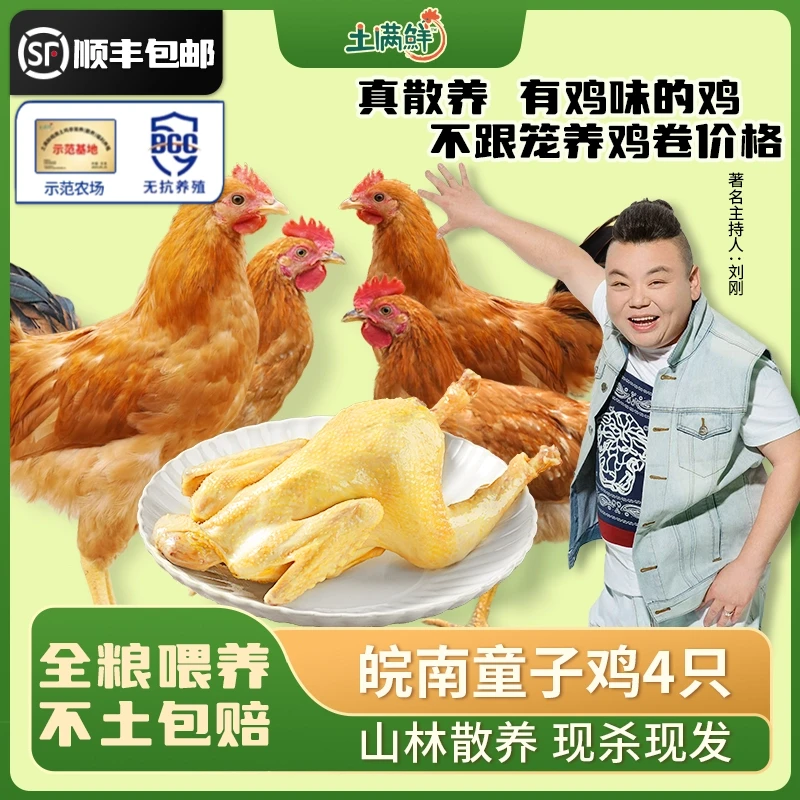 【童子鸡4只】食安放心土满鲜农家散养公鸡山林散养土鸡新鲜营养